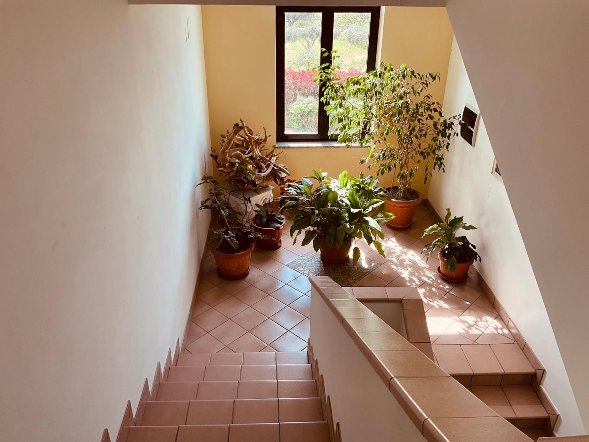 Casa Vacanza Demetra Fuscaldo Extérieur photo